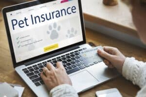 getting-pet-insurance-online