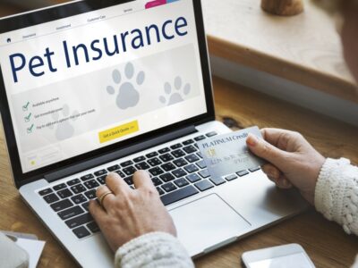 getting-pet-insurance-online