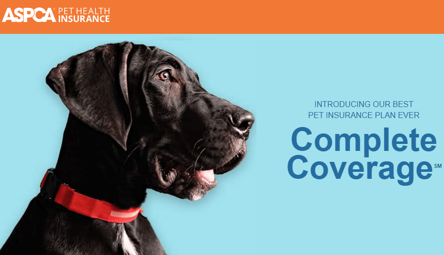 ASPCA pet insurance featuring a black dog