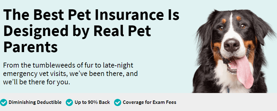 Pet insurance by Allstate featuring a dog