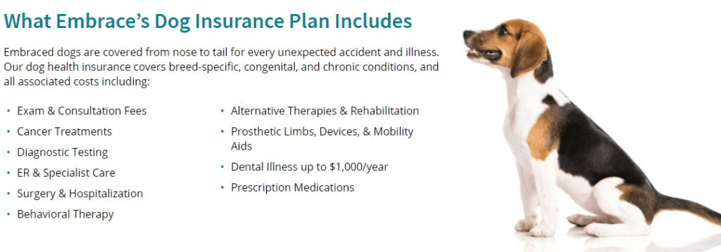 Embrace Dog Insurance featuring a dog