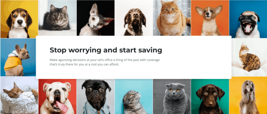 Pet medical coverage by Eusoh featuring a collage of cats and dogs
