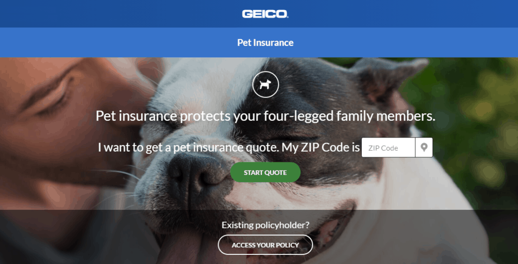 Pet insurance by GEICO featuring a man kissing a French Bulldog