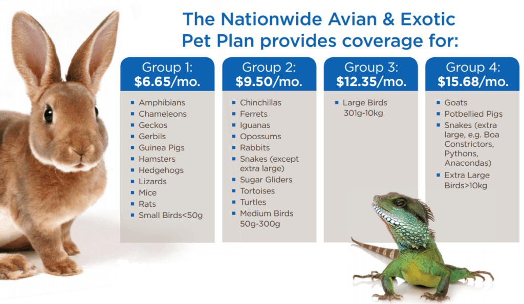 The pricing plans for Nationwide's Avian & Exotic Pet Plan