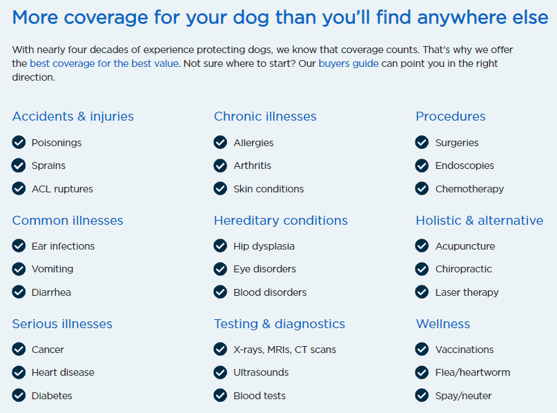Dog Insurance by Nationwide and what it includes