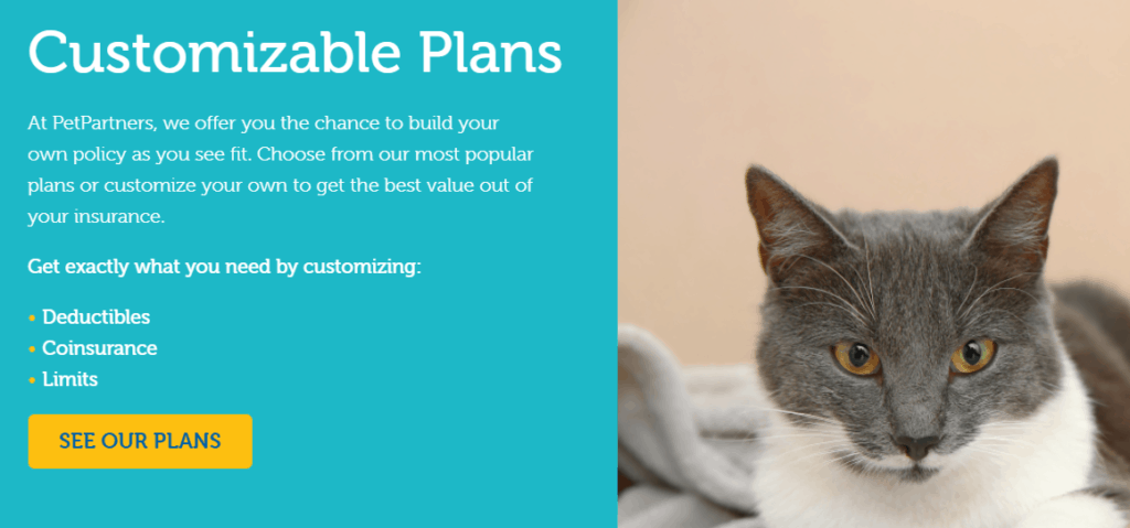 Customizable cat insurance plan by PetPartners featuring a grey cat