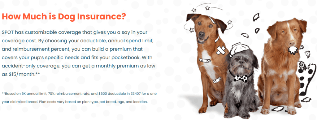 Dog Insurance by SPOT featuring sick and injured dogs