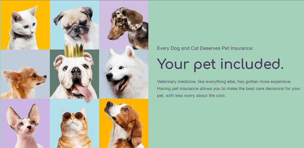 Pet insurance by Toto featuring a collage of cats and dogs
