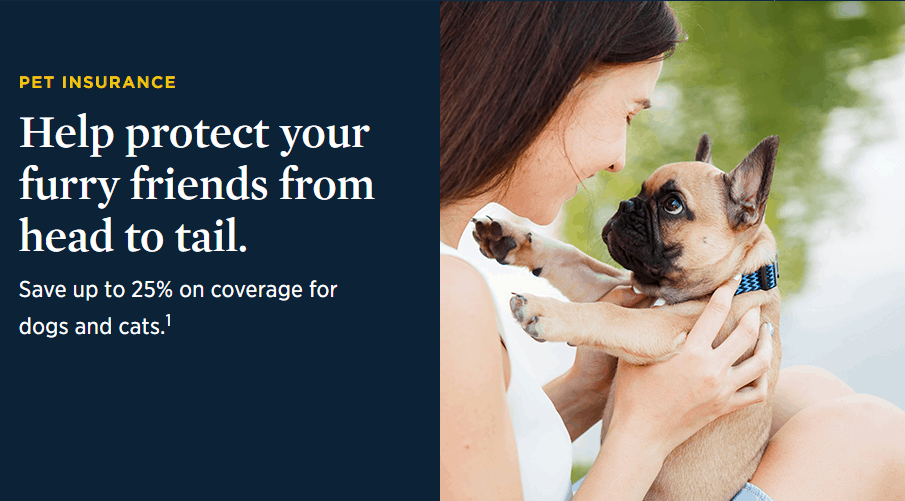 Pet Insurance by USAA featuring a woman holding a baby French Bulldog