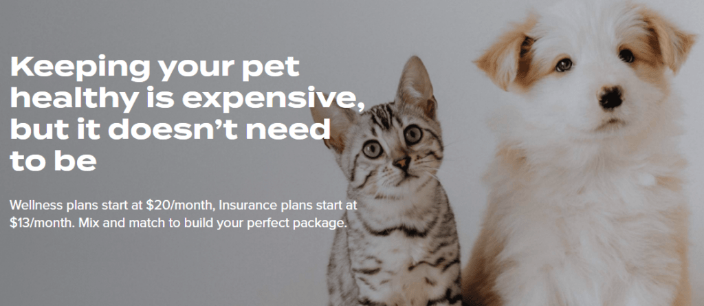 Pet insurance by Wagmo featuring a puppy and a kitten