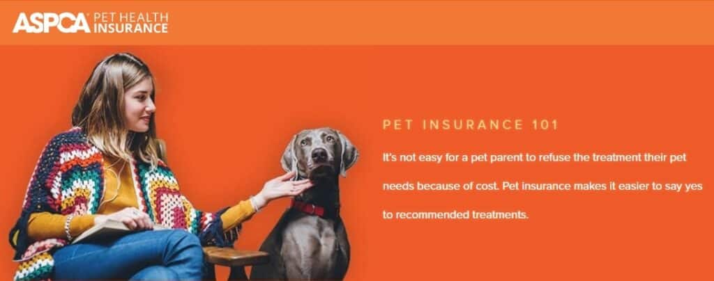ASPCA pet dental insurance - woman petting a black Great Dane