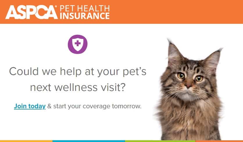 Pet wellness plan by ASPCA featuring a kitten