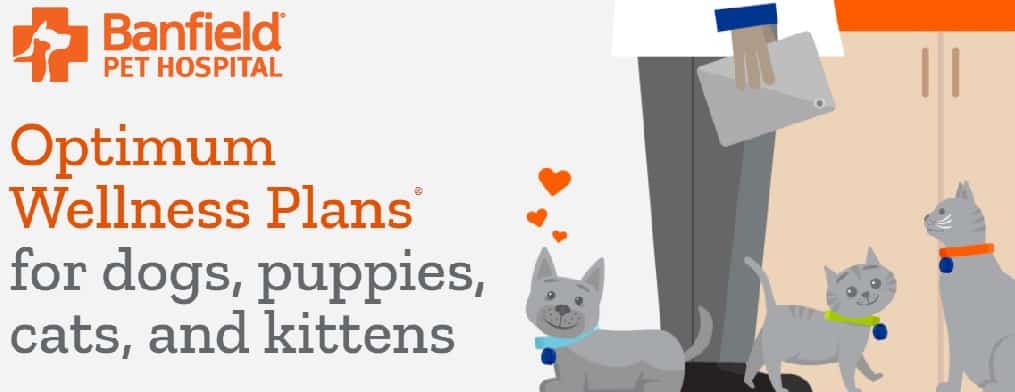 Pet wellness plan by Banfield featuring a cartoon of a medic with a puppy, a kitten, and a cat.