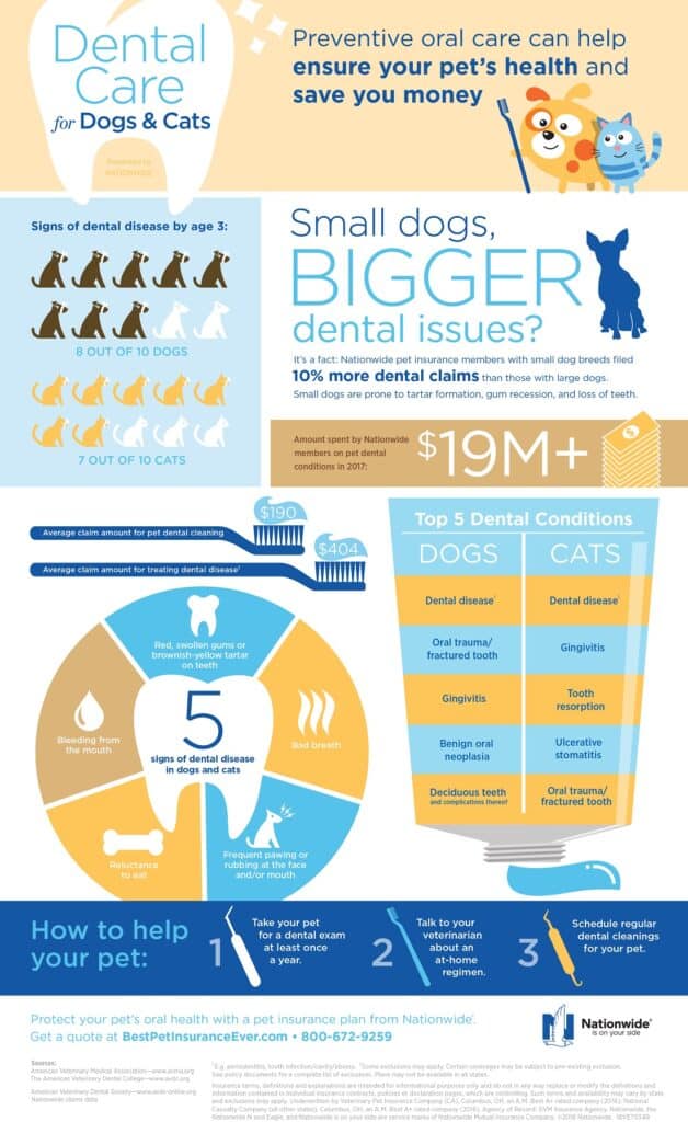 An infographic by Nationwide reviewing pet dental statistics like costs and diseases