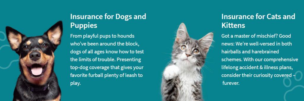 Pet Insurance for cats and dogs by Embrace featuring a puppy and a kitten