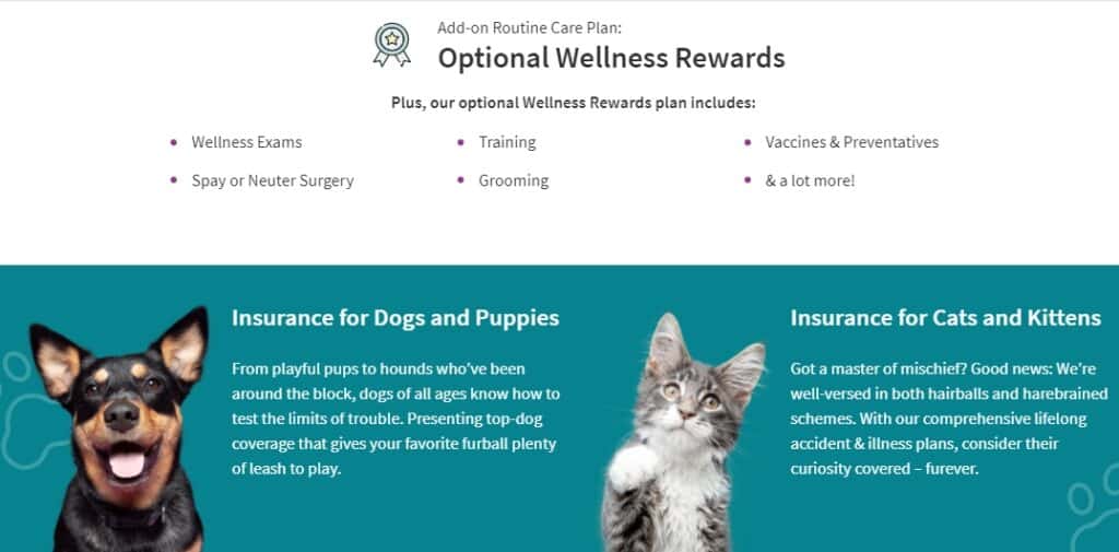 Pet wellness plan by Embrace featuring a puppy and a kitten