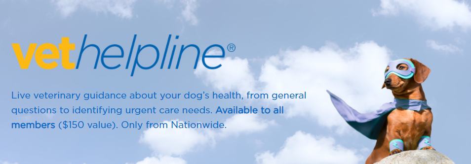 vethelpline service by Nationwide featuring a dog dressed as a superhero.