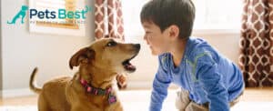 Pets Best Pet Insurance Review featuring a boy playing with a puppy