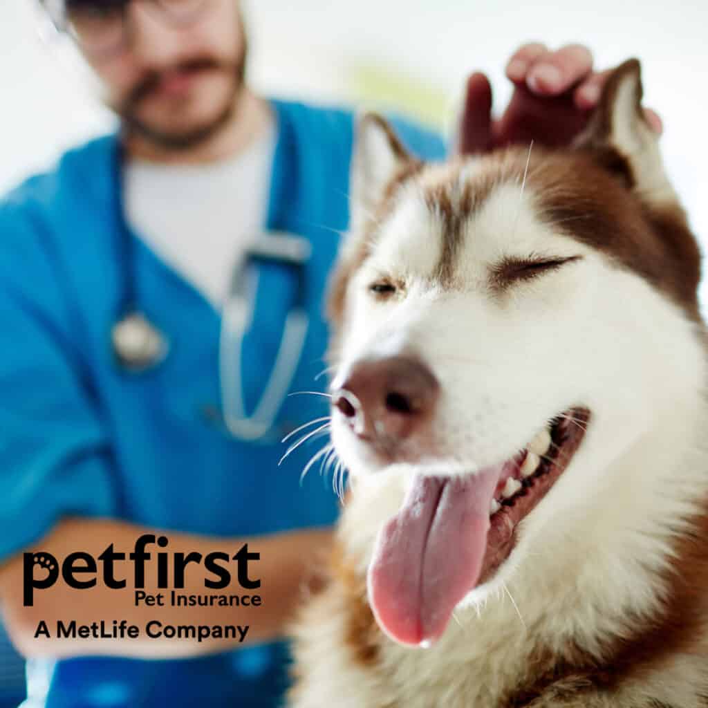 Pet wellness plan by PetFirst featuring a veterinary specialist petting a dog.