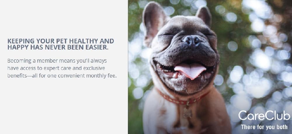 Pet wellness plan by VCA Care Club featuring a French Bulldog