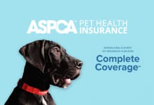 ASPCA Pet Health insurance featuring a black dog