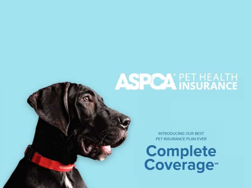 ASPCA Pet Health insurance featuring a black dog