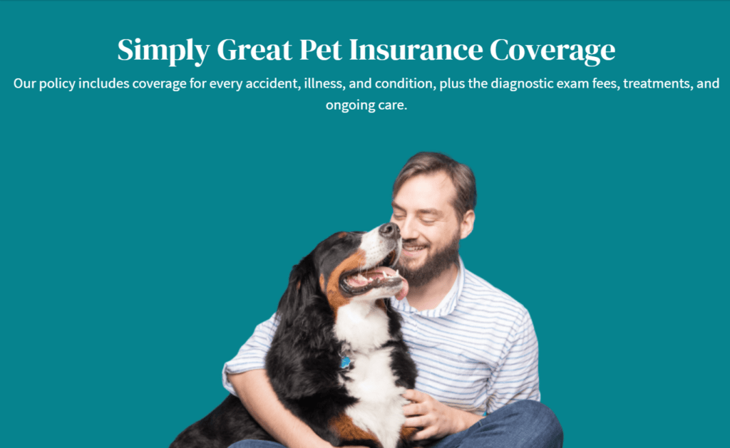 Embrace pet insurance coverage featuring a dog with its owner