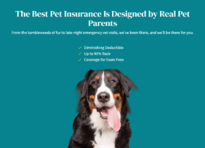Pet Insurance by Embrace featuring a dog
