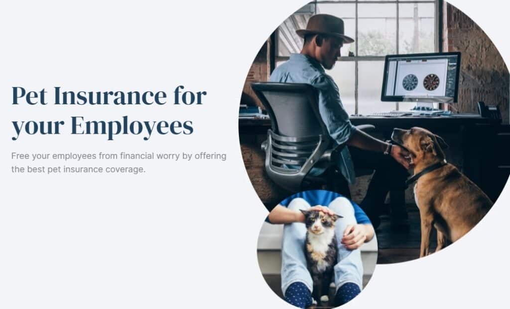Figo Pet Insurance for employees featuring two people petting a cat and a dog