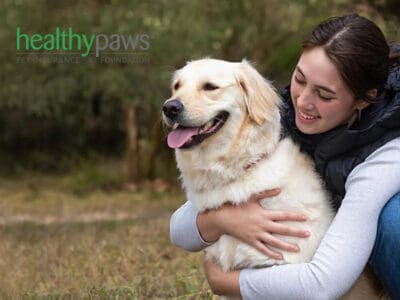 Healthy Paws pet insurance review featuring a woman hugging a labrador retriever