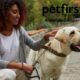 PetFirst Pet Insurance Review featuring a woman petting a dog