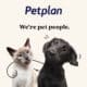 Petplan Pet Insurance Review featuring a dog hugging a cat