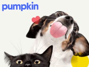 Pumpkin pet insurance review featuring a black cat hiding and a puppy licking