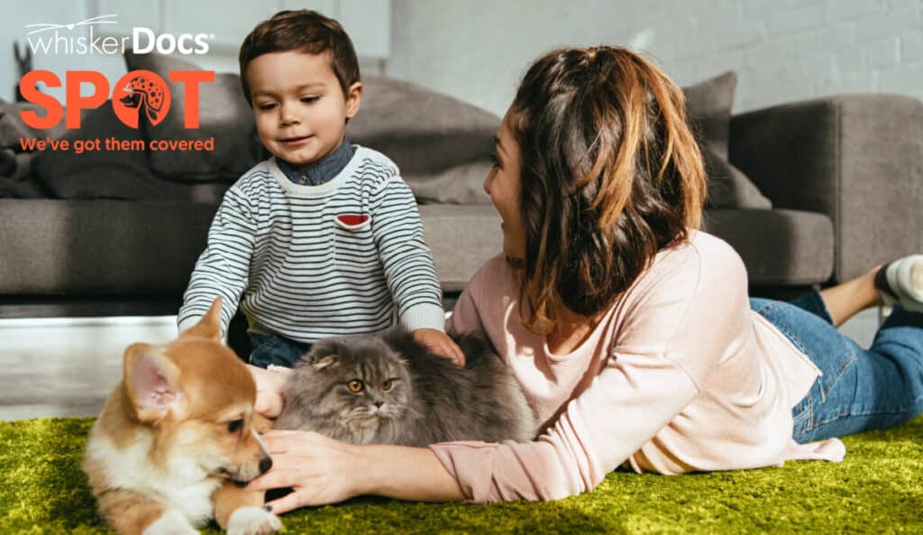 SPOT pet insurance partnering with whiskerDocs featuring a lady and a kid playing with a cat and a dog