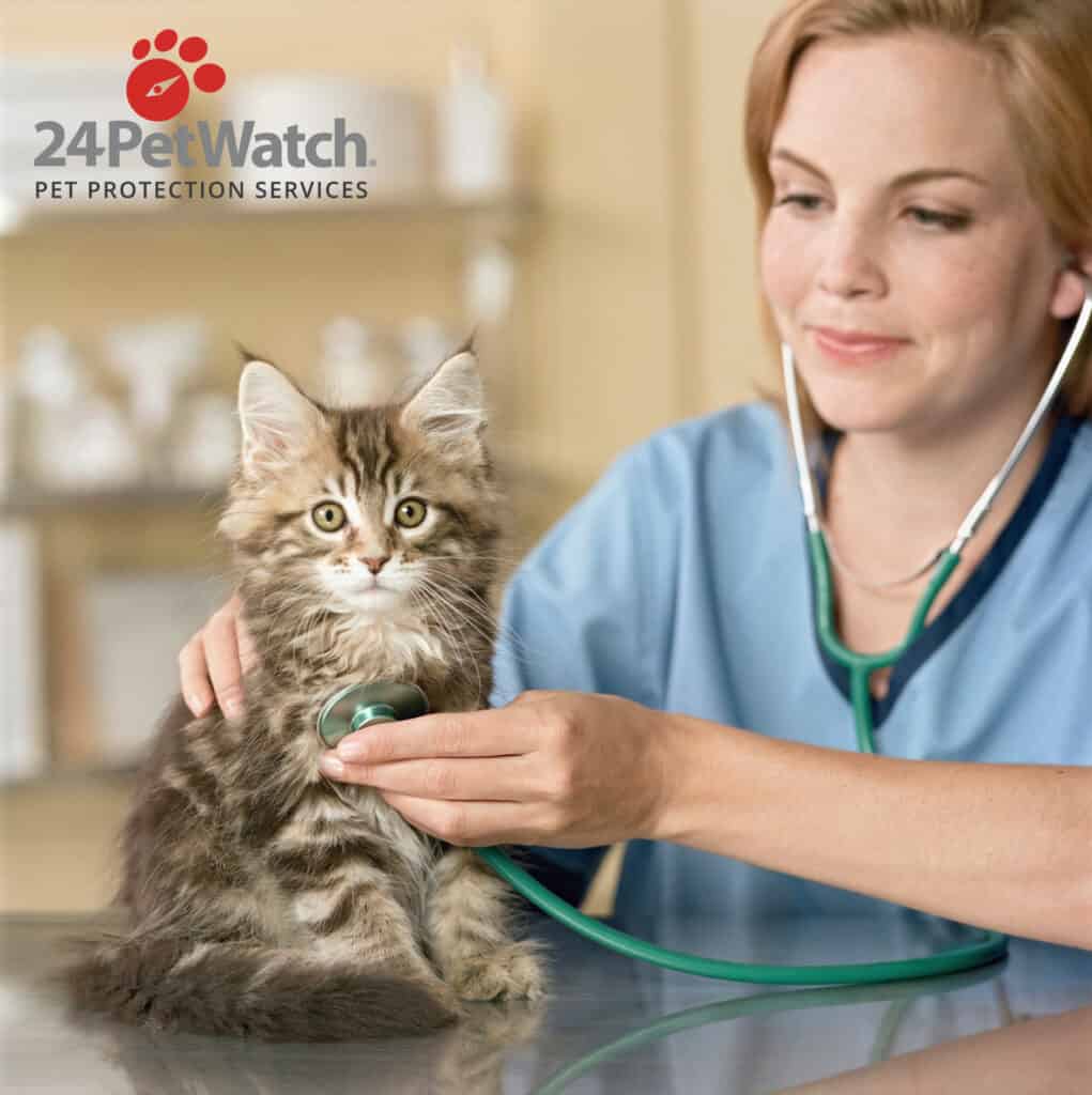 24PetWatch featuring a physician checking a kitten