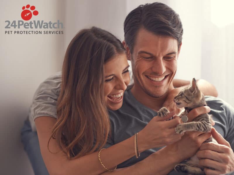 24PetWatch pet insurance review featuring a couple playing with a kitten