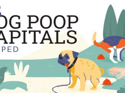 The Dog Poop Capitals, Mapped