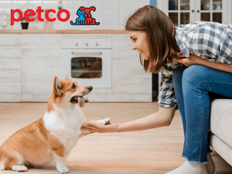 Petco pet insurance review featuring a woman shaking hands with a dog