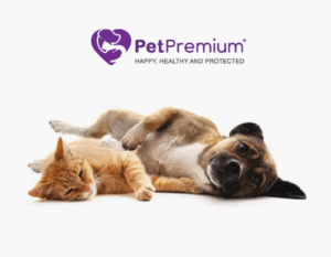 PetPremium pet insurance review featuring a cat and a dog laying around