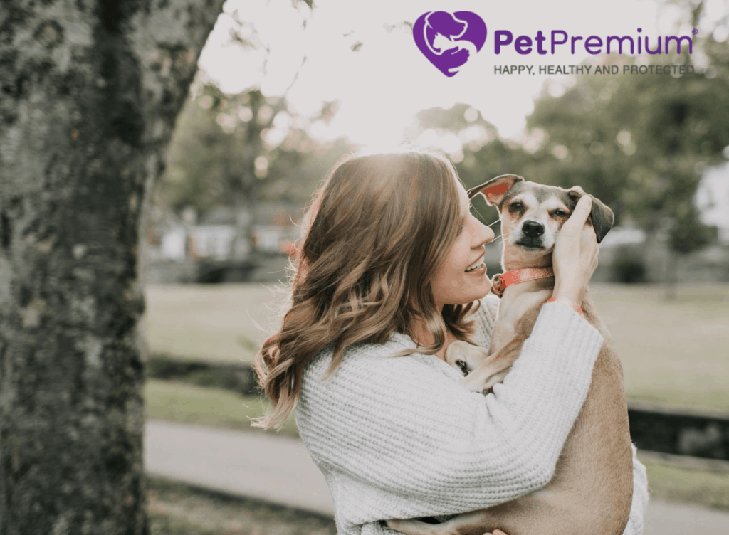 PetPremium pet insurance wellness care featuring a woman hugging a dog in nature