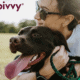 Bivvy pet insurance review featuring a woman hugging a black dog