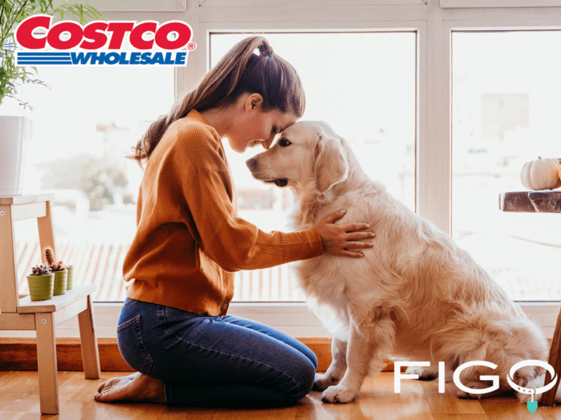 Costco pet insurance review featuring a woman hugging her labrador retriever in her home
