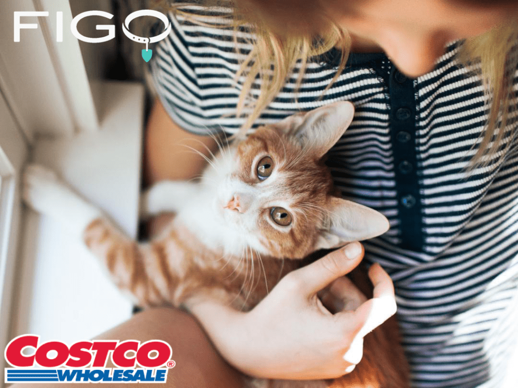 Costco pet insurance wellness featuring a woman holding her yellow kitten in her lap