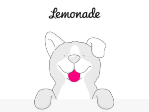 Lemonade pet insurance review featuring a drawing of a dog