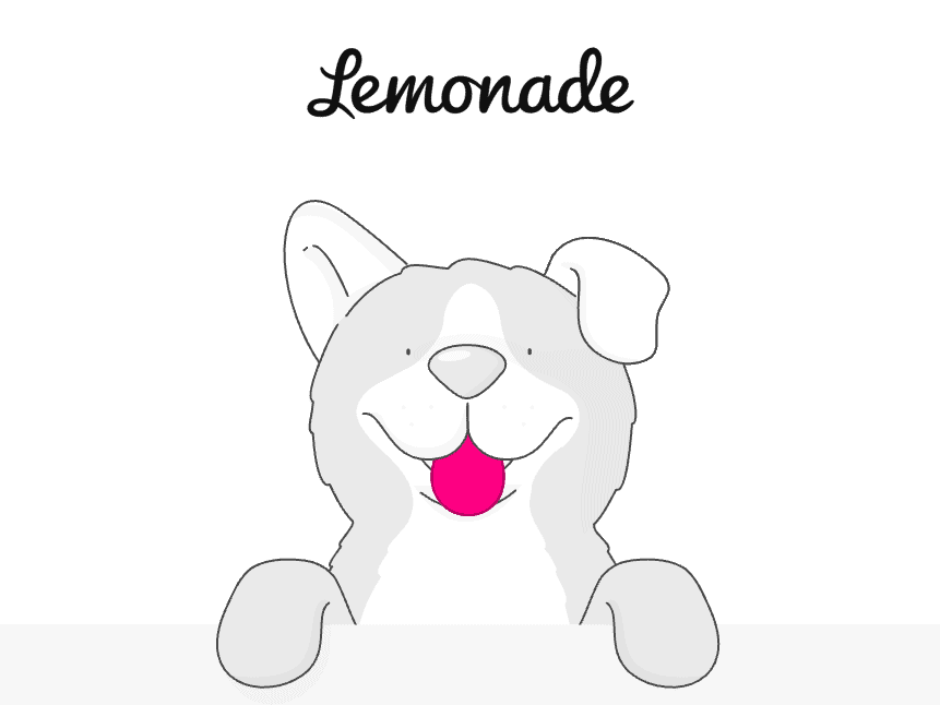 Lemonade pet insurance review featuring a drawing of a dog