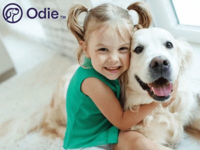 Odie pet insurance review featuring a girl hugging a golden retriever