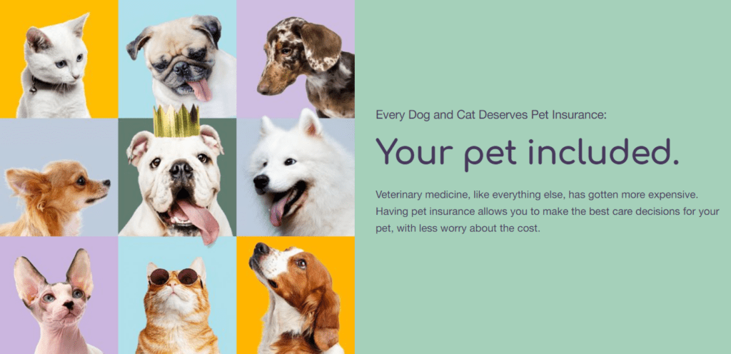 toto pet insurance customer service featuring several cats and dogs