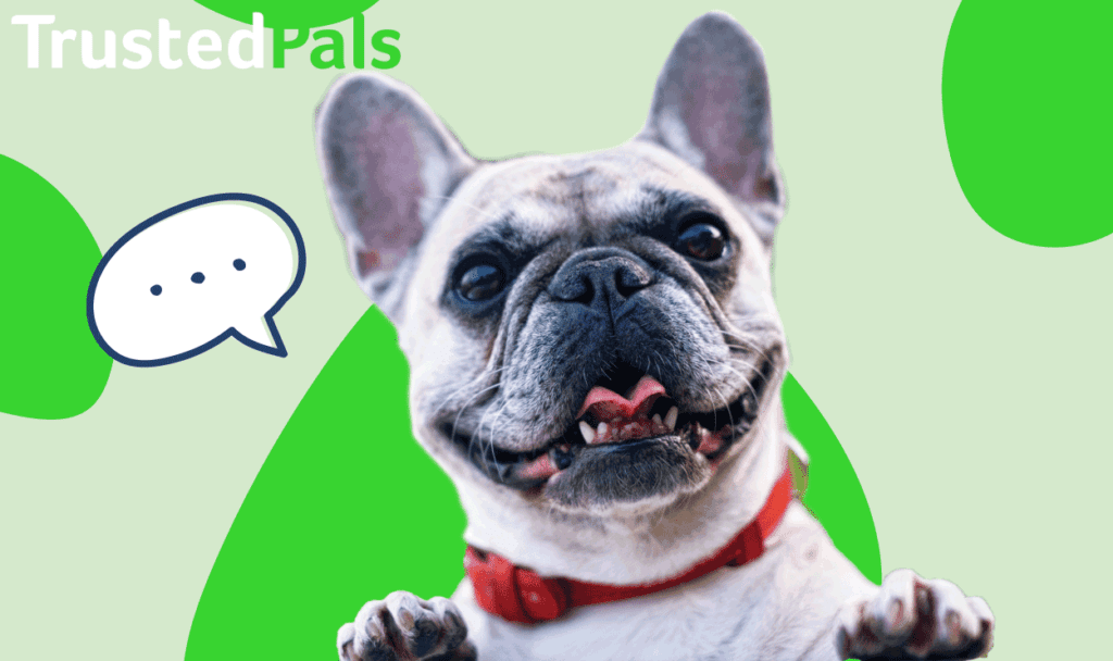 TrustedPals pet insurance featuring a French Bulldog