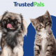 TrustedPals pet insurance review featuring a puppy and a kitten