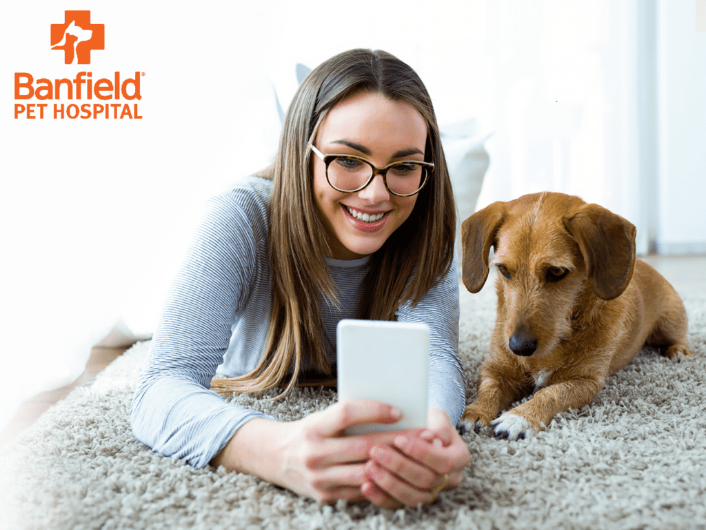 Banfield pet coverage featuring a woman and a dog lying on a carpet and looking at smartphone